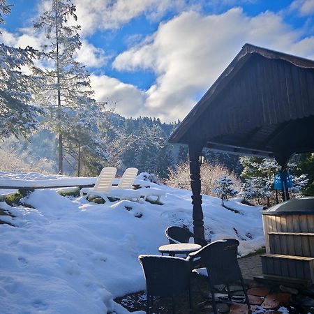 Alpina Panoramic Hotel Moisei Eksteriør billede