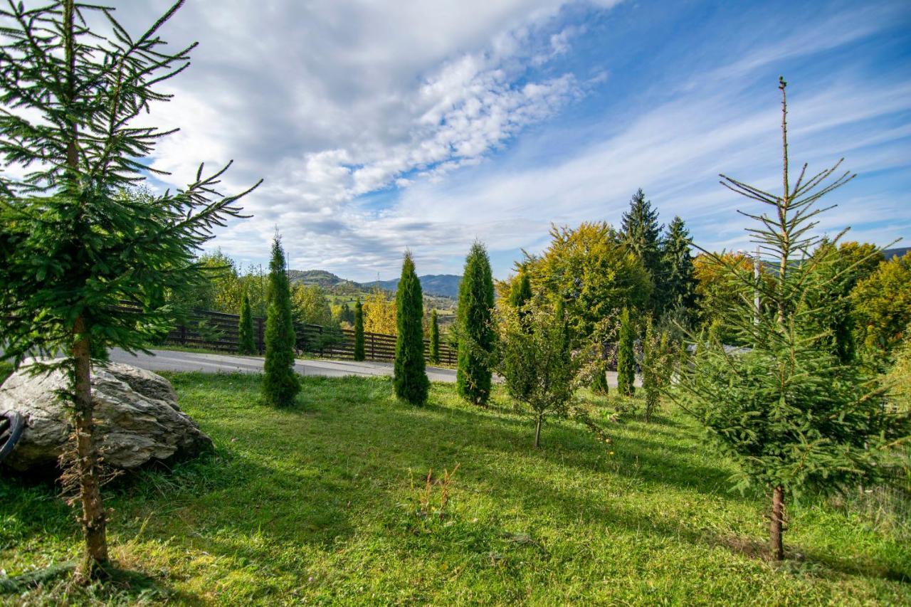 Alpina Panoramic Hotel Moisei Eksteriør billede