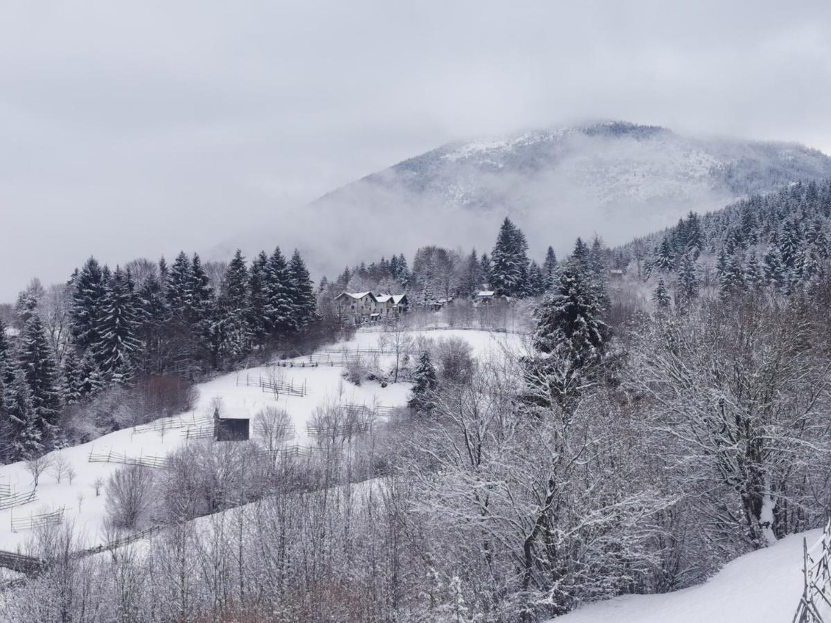 Alpina Panoramic Hotel Moisei Eksteriør billede