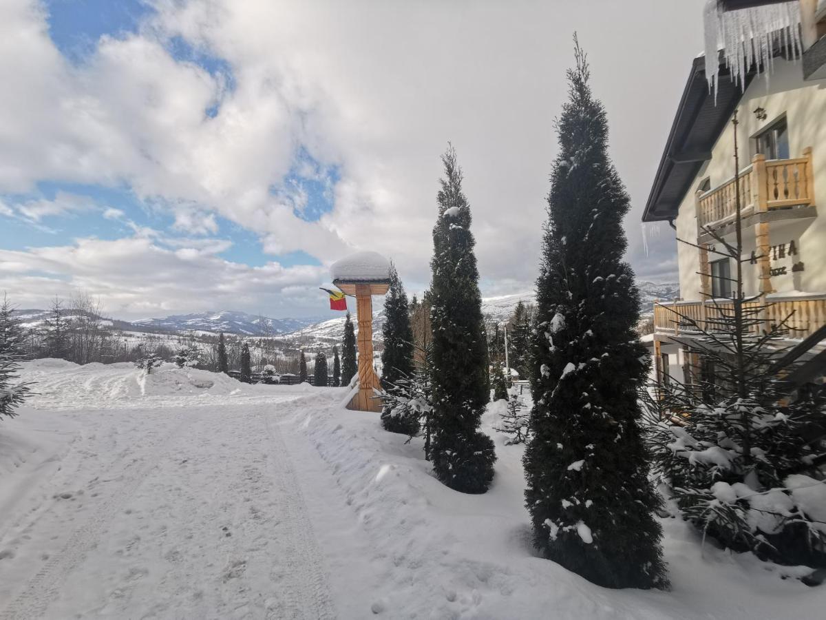 Alpina Panoramic Hotel Moisei Eksteriør billede