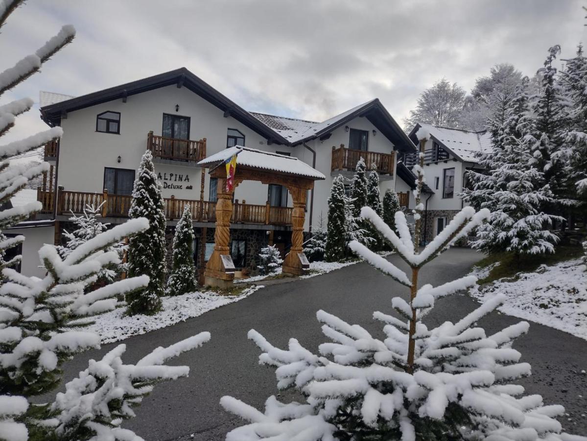 Alpina Panoramic Hotel Moisei Eksteriør billede