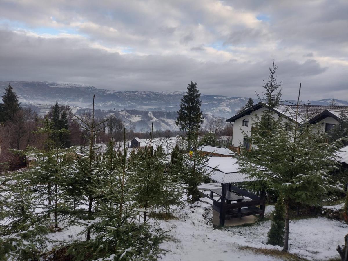 Alpina Panoramic Hotel Moisei Eksteriør billede