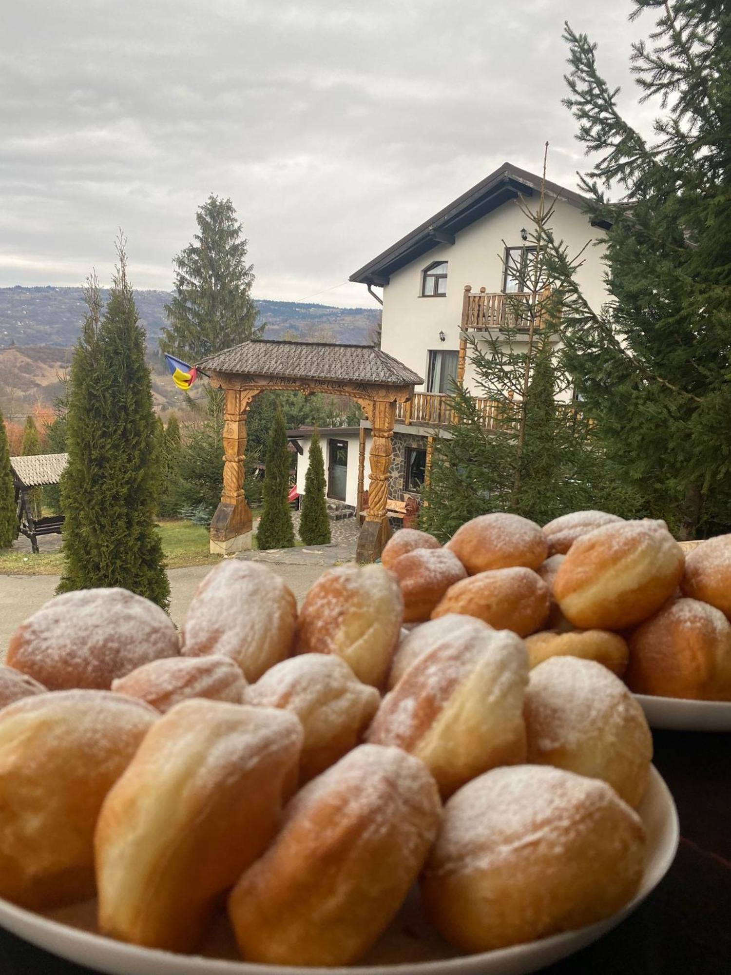 Alpina Panoramic Hotel Moisei Eksteriør billede