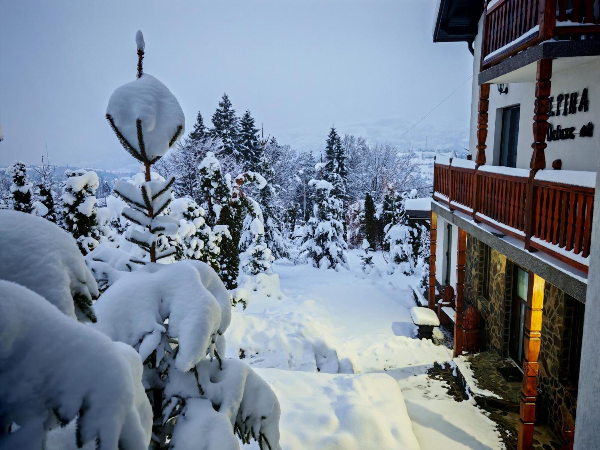 Alpina Panoramic Hotel Moisei Eksteriør billede