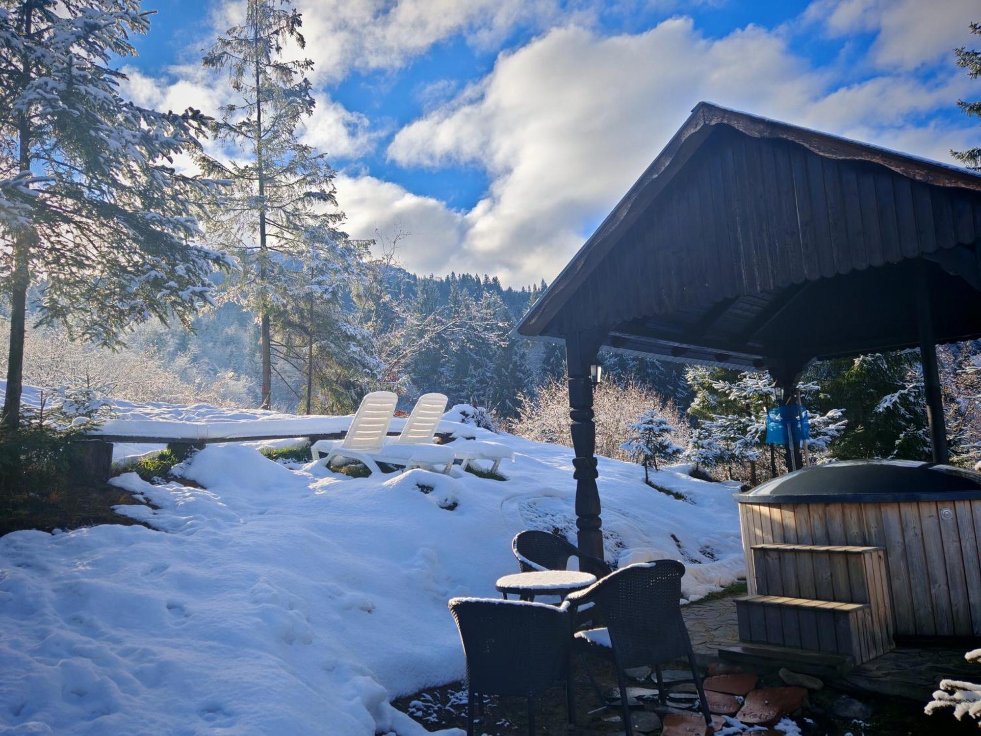 Alpina Panoramic Hotel Moisei Eksteriør billede