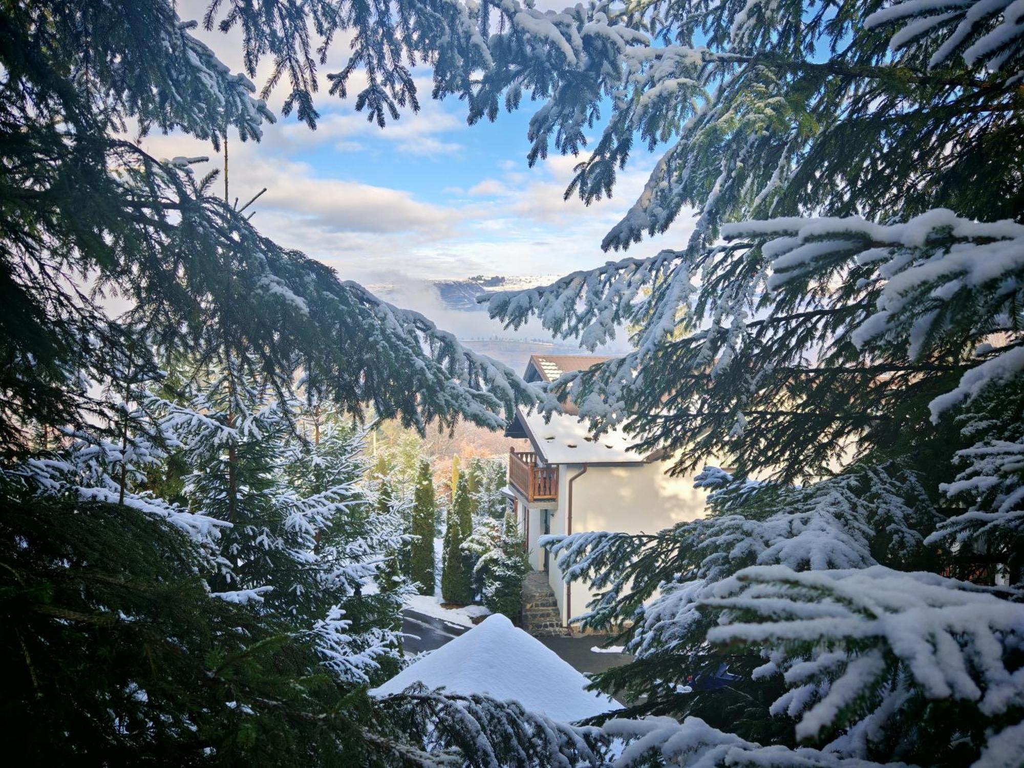 Alpina Panoramic Hotel Moisei Eksteriør billede