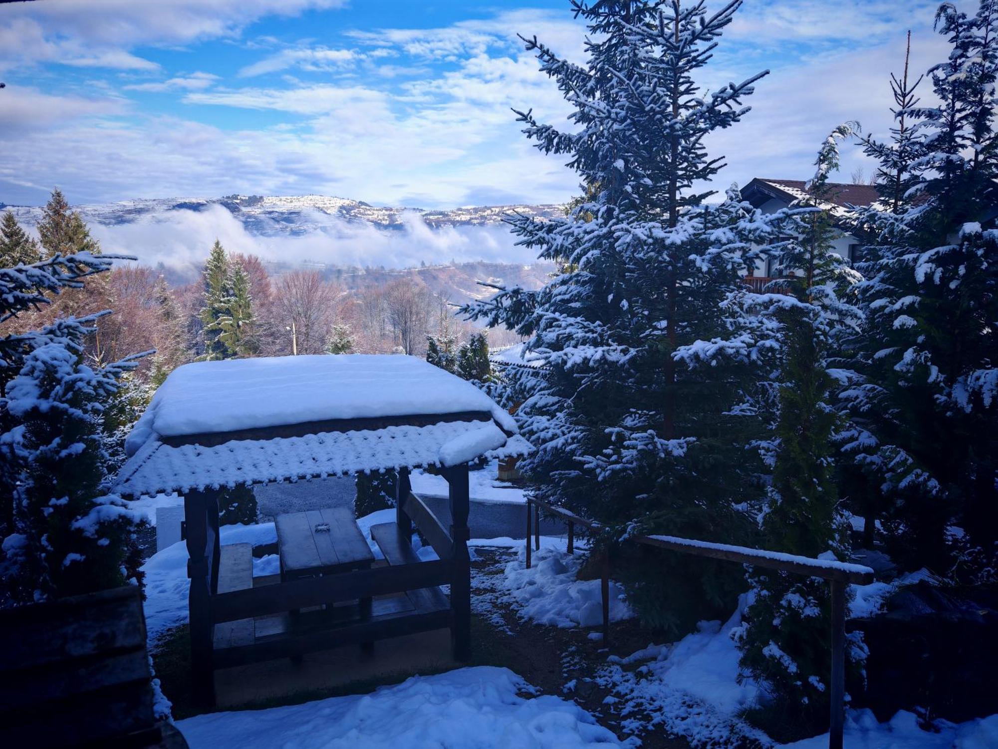Alpina Panoramic Hotel Moisei Eksteriør billede