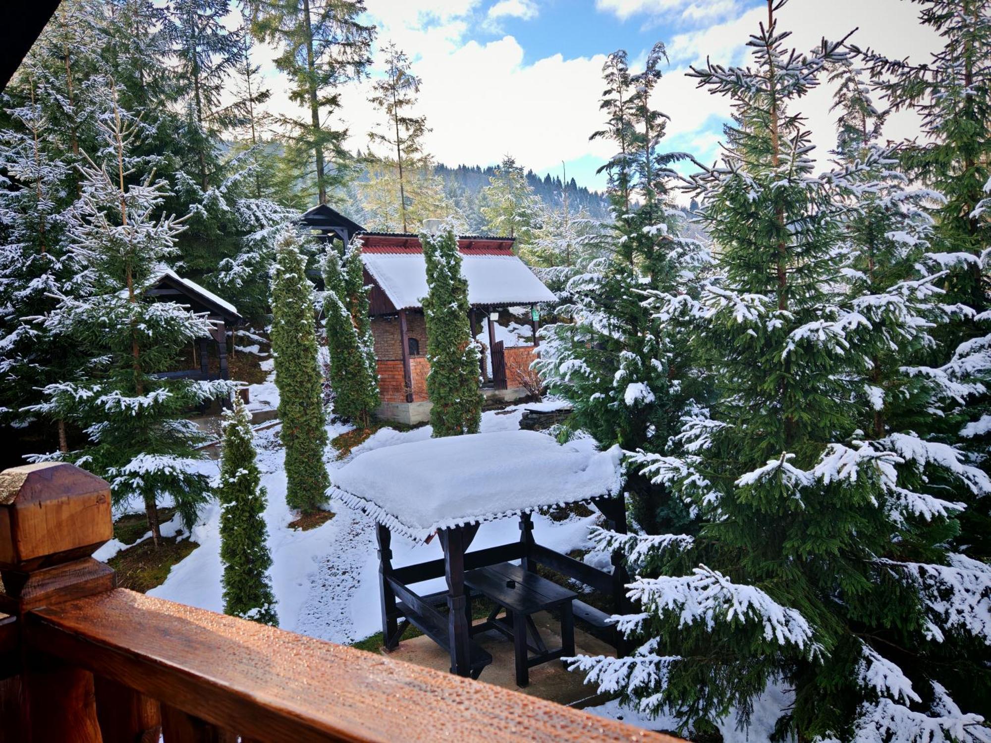 Alpina Panoramic Hotel Moisei Eksteriør billede