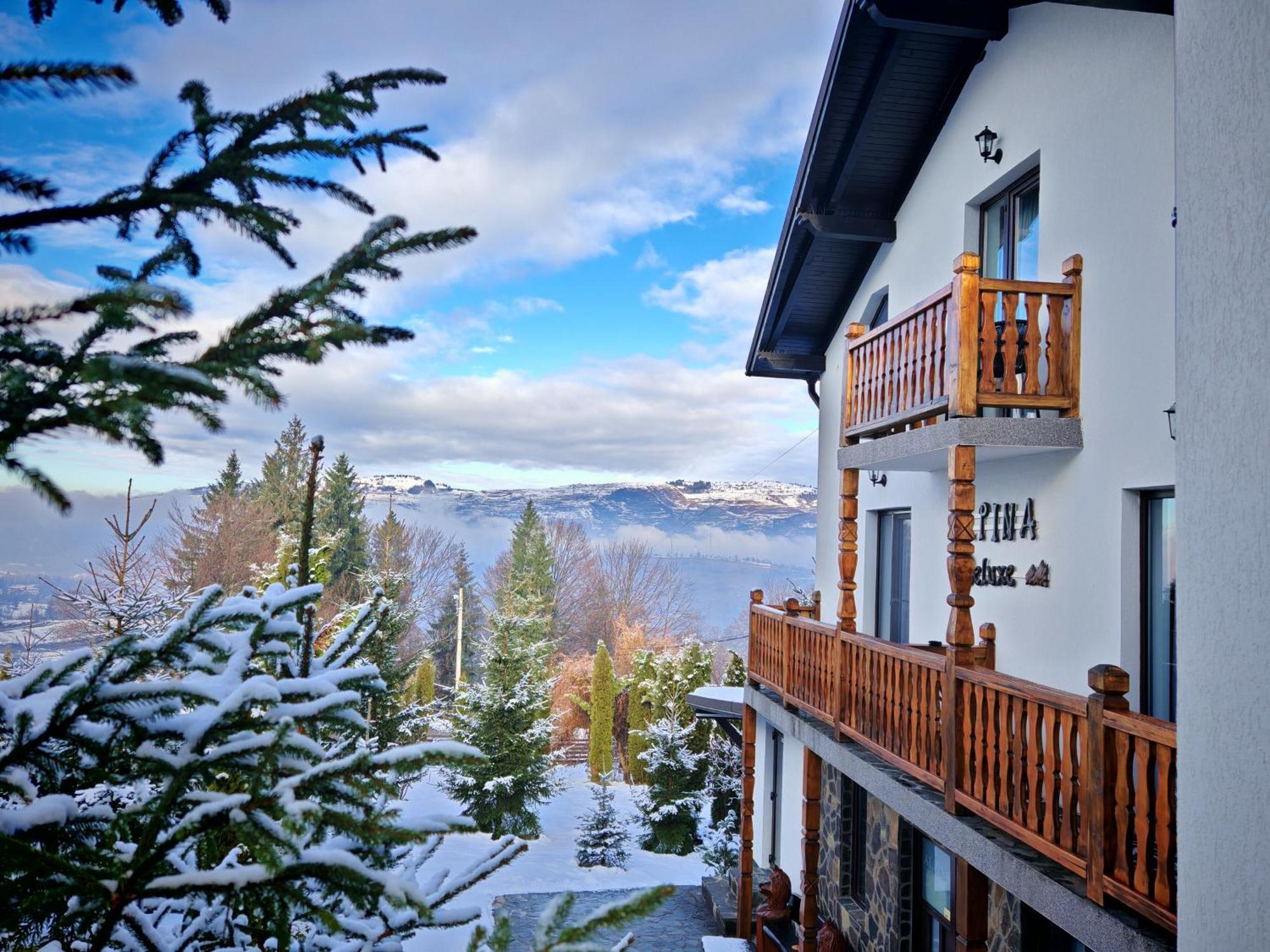 Alpina Panoramic Hotel Moisei Eksteriør billede